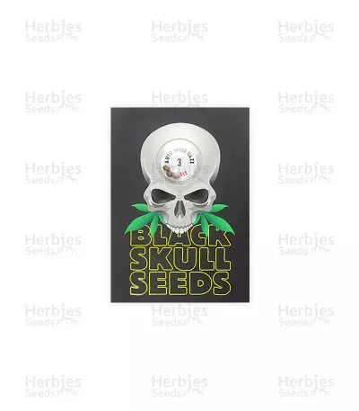 Graines de cannabis Auto Speed Haze (Blackskull Seeds)