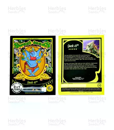Jack 47 Seeds