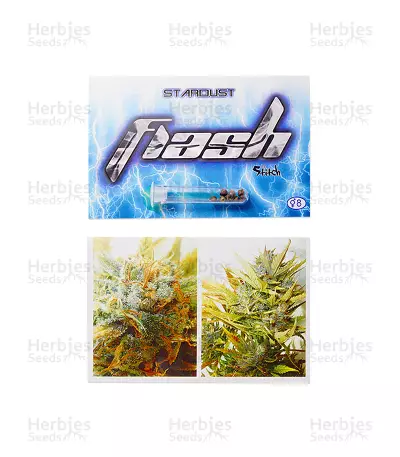 Stardust Auto regular Seeds