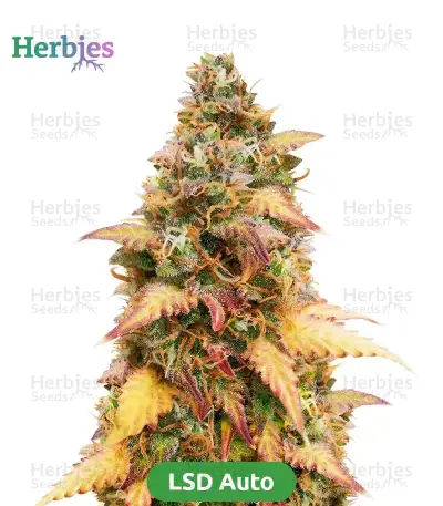 Autopilot Harvest Bundle #3