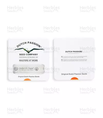 Hollands Hope Seeds