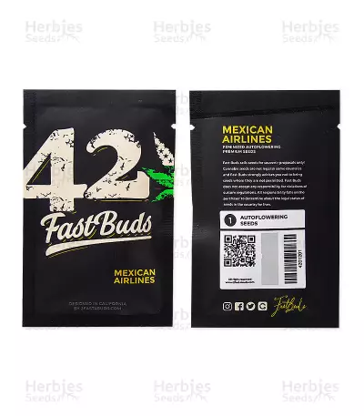 Mexican Airlines Auto (Fast Buds)