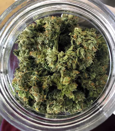 Mix Pack Seeds (Seedstockers)