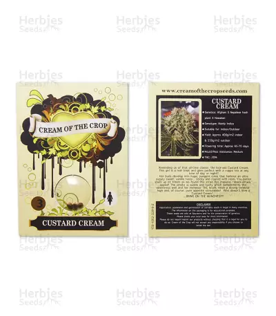 Graines de cannabis Custard Cream (Cream of the Crop Seeds)