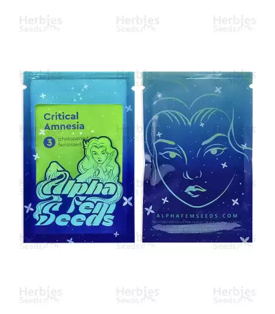 Critical Amnesia Feminized Seeds (AlphaFem Seeds)