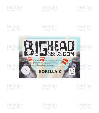 Gorilla Z Seeds