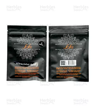 Graines de cannabis Ultraviolet Auto (Samsara Seeds)