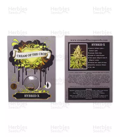 Graines de cannabis Hybrid X (Cream of the Crop Seeds)