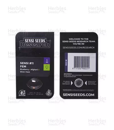 Graines de cannabis Sensi #11 (Sensi Seeds)