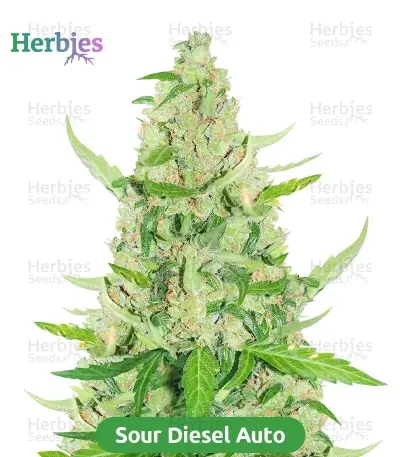 Autopilot Harvest Bundle #1