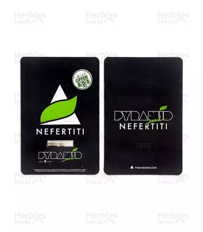 Semi femminizzati di Nefertiti