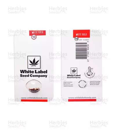 Semi regolari White Gold