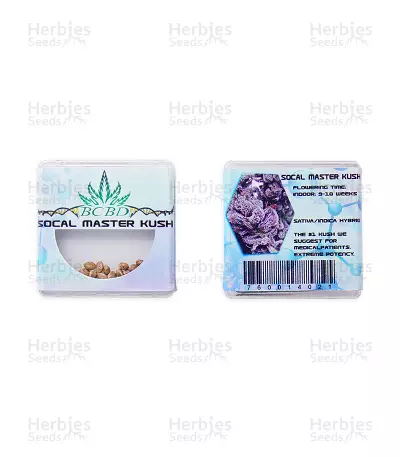 SoCal Masterkush Seeds