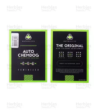 Graines de cannabis Auto Chemdog (Auto Seeds)