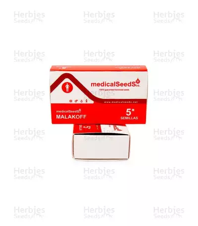 Graines de cannabis Malakoff (Medical Seeds)