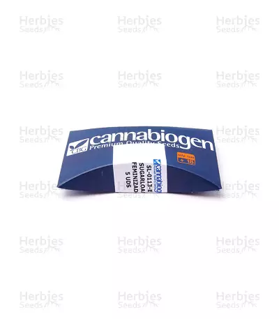 Sugarloaf (CannaBioGen)