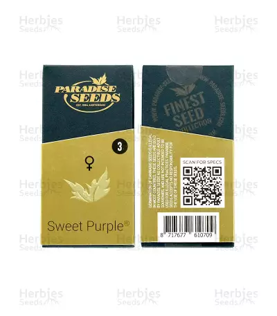 Sweet Purple feminized seeds