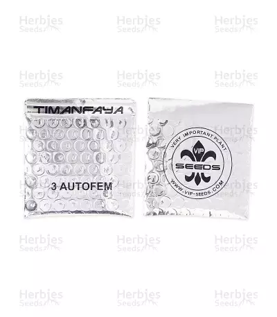 Timanfaya Auto Seeds