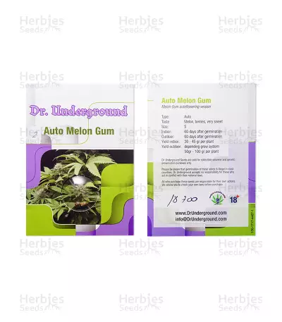 Melon Gum Auto Seeds