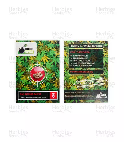 Big Bomb Auto feminized seeds