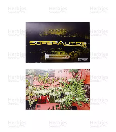 Spacer Auto Seeds