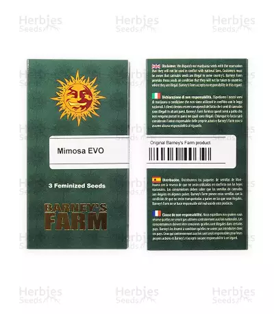 Mimosa EVO Seeds (Barney’s Farm)