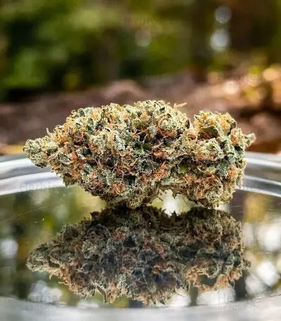 Super Sour Diesel Seeds