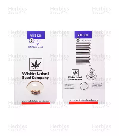 White Gold (Bleu Berries) feminized seeds