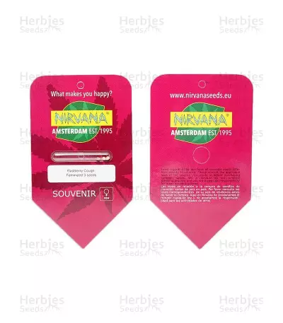 Raspberry Cough (Nirvana Seeds)