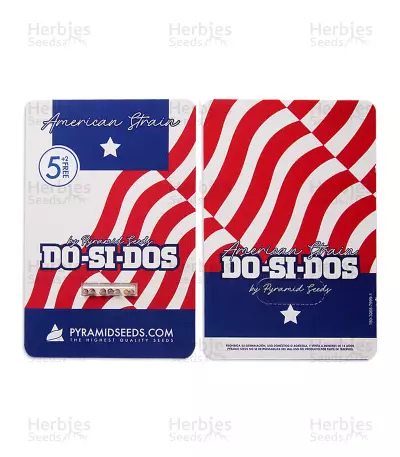 Graines de cannabis Do-Si-Dos (Pyramid Seeds)