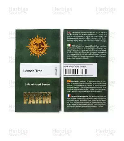 Lemon Tree Seeds (Barney's Farm)