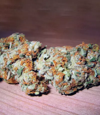 Silver LA Seeds