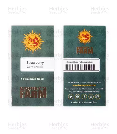Sementes Feminizadas de Strawberry Lemonade (Barney's Farm)