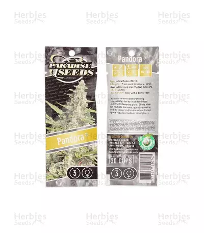 Pandora Auto Seeds
