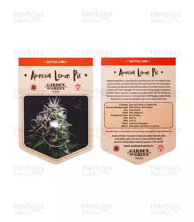 Amnesia Lemon Pie Seeds