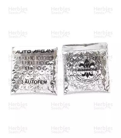 Auto Afghani (VIP seeds)