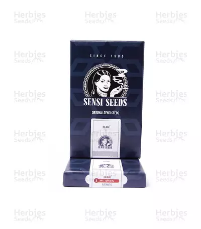 Big Bud Automatic Seeds