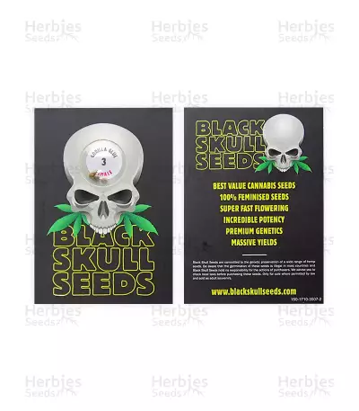 GG#4 Original Glue feminized seeds (Blackskull Seeds)