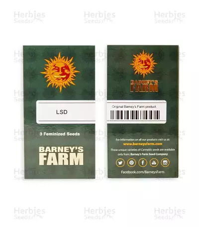 LSD Seeds