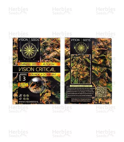 Graines de cannabis Vision Critical Auto (Vision Seeds)