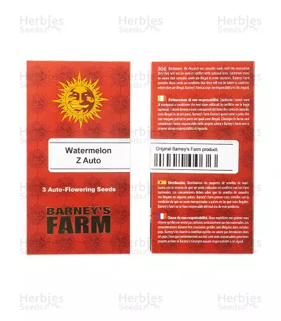 Sementes Feminizadas de Watermelon Z Auto (Barney's Farm)
