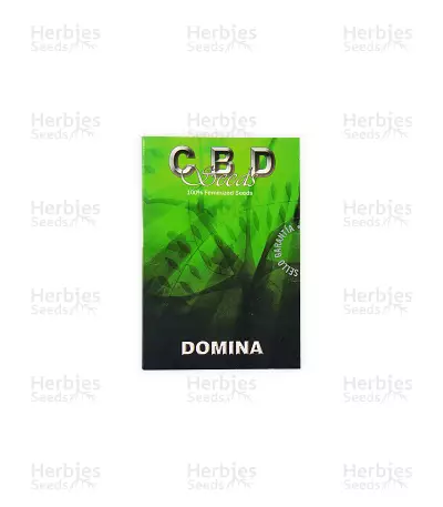 Domina (CBD Seeds)