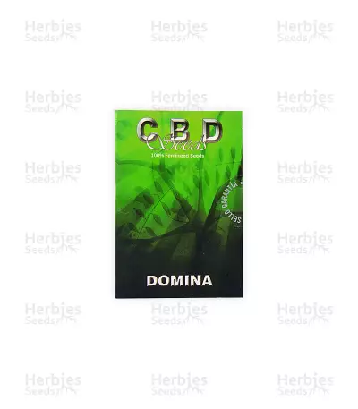 Domina (CBD Seeds)
