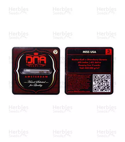 Graines de cannabis Miss USA (DNA Genetics)