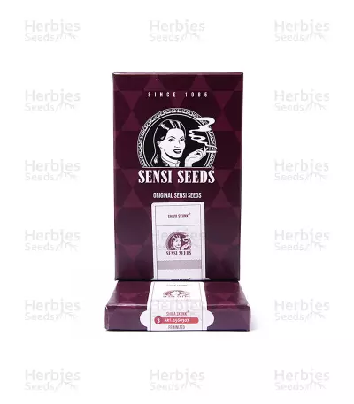 Shiva Skunk Seeds