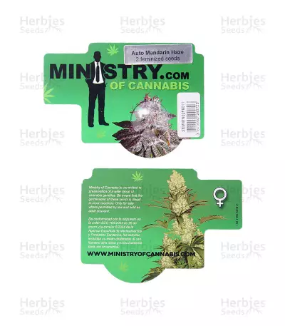 Mandarin Haze Auto (Ministry Of Cannabis)