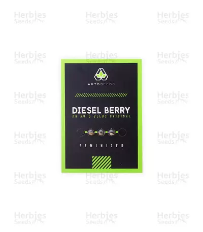 Diesel Berry Auto feminized seeds