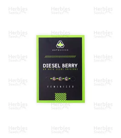 Diesel Berry Auto
