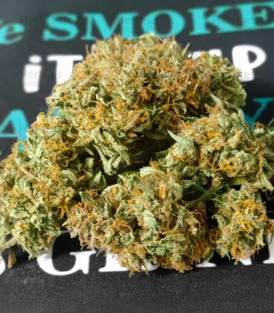 Semi femminizzati Exodus Cheese Auto CBD