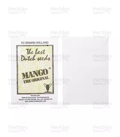 Mango (K.C. Brains Seeds) Cannabis-Samen